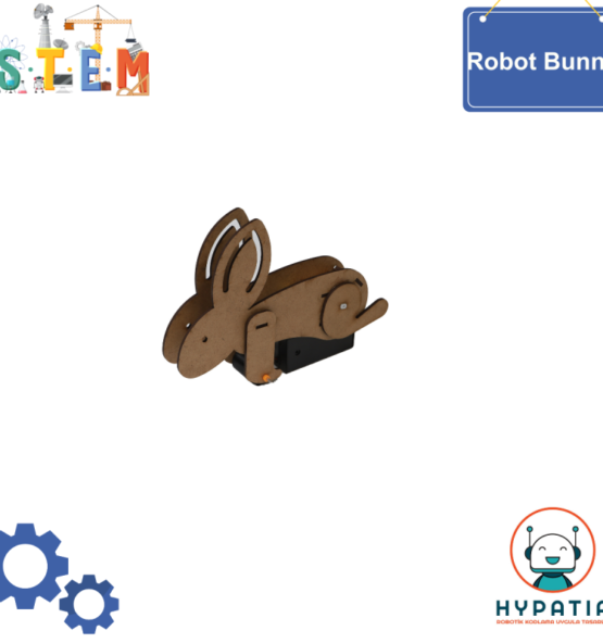 robot bunny 555x592