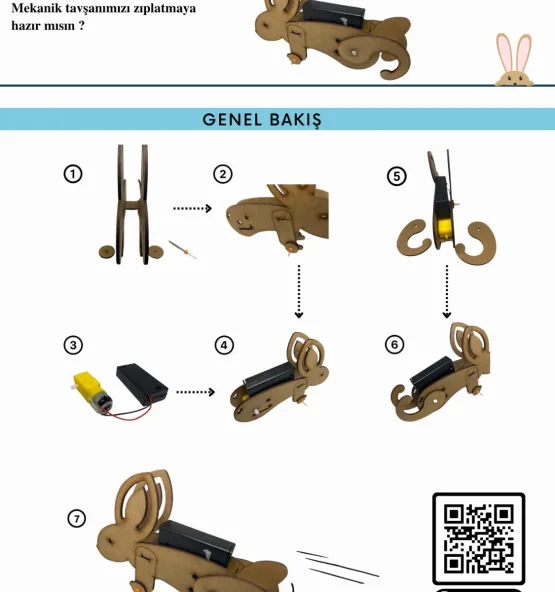 stem robot bunny3 555x592